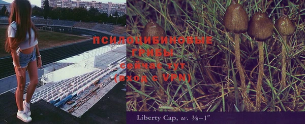 ПСИЛОЦИБИНОВЫЕ ГРИБЫ Елизово