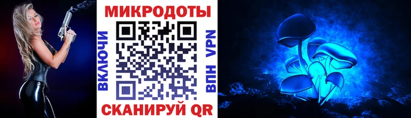 Галлюциногенные грибы Cubensis  цены   Северская 